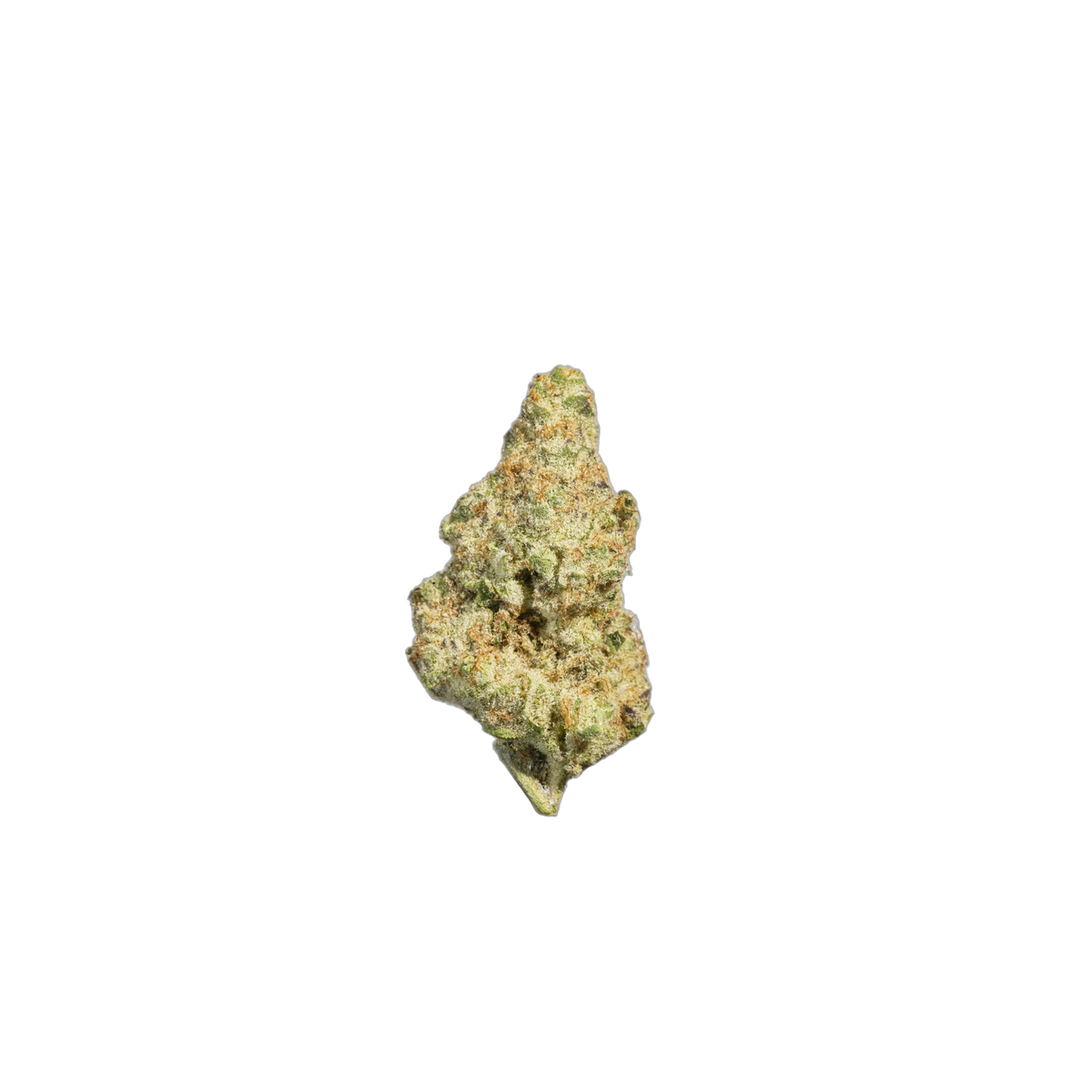 Sugar Pops cannabis flower bud