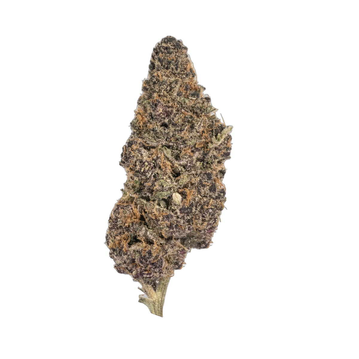 Superberry Crush cannabis flower bud