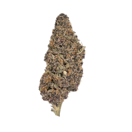 Superberry Crush cannabis flower bud