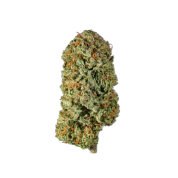 SUPERCHEESE - Cannibisters Limited Collection cannabis flower bud