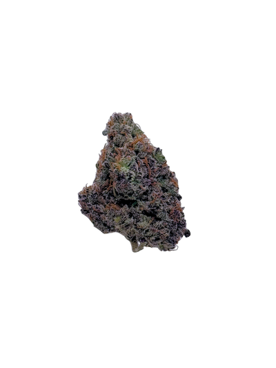 Tail Dragger cannabis flower bud