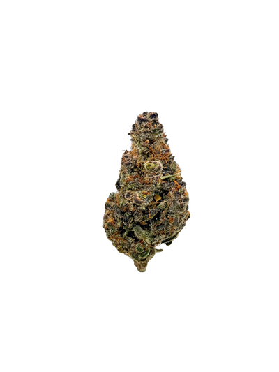 Tropicana Cookies cannabis flower bud