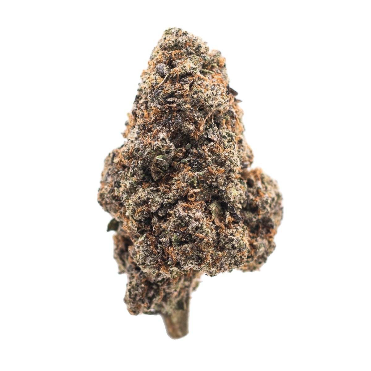 Violet Cake indica cannabis | Cannibisters Cape Town