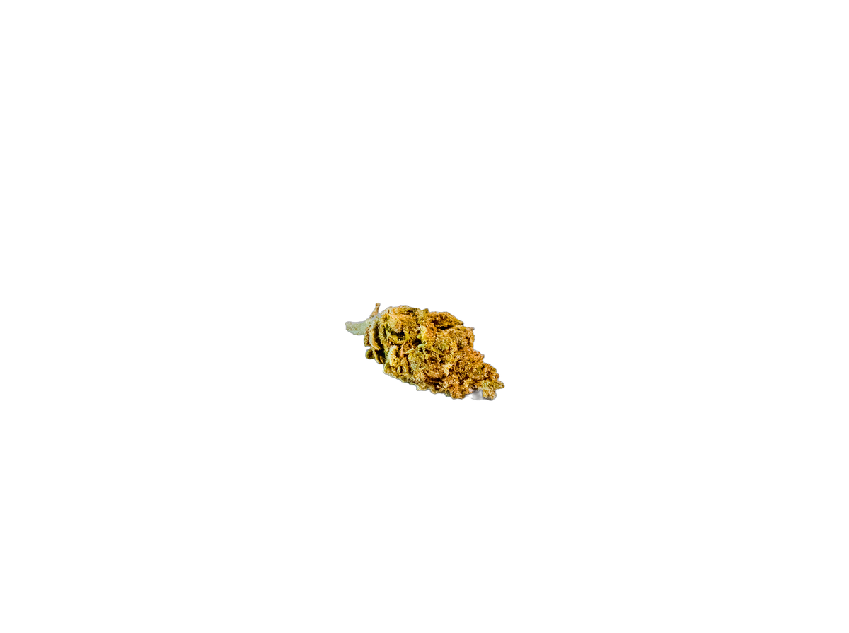 White Russian Greenhouse cannabis flower bud