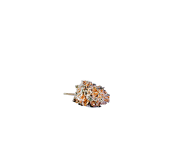 White Widow cannabis flower bud