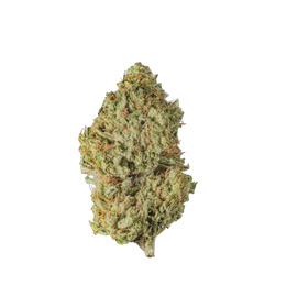 White Widow cannabis flower bud - Cannibisters Limited Collection