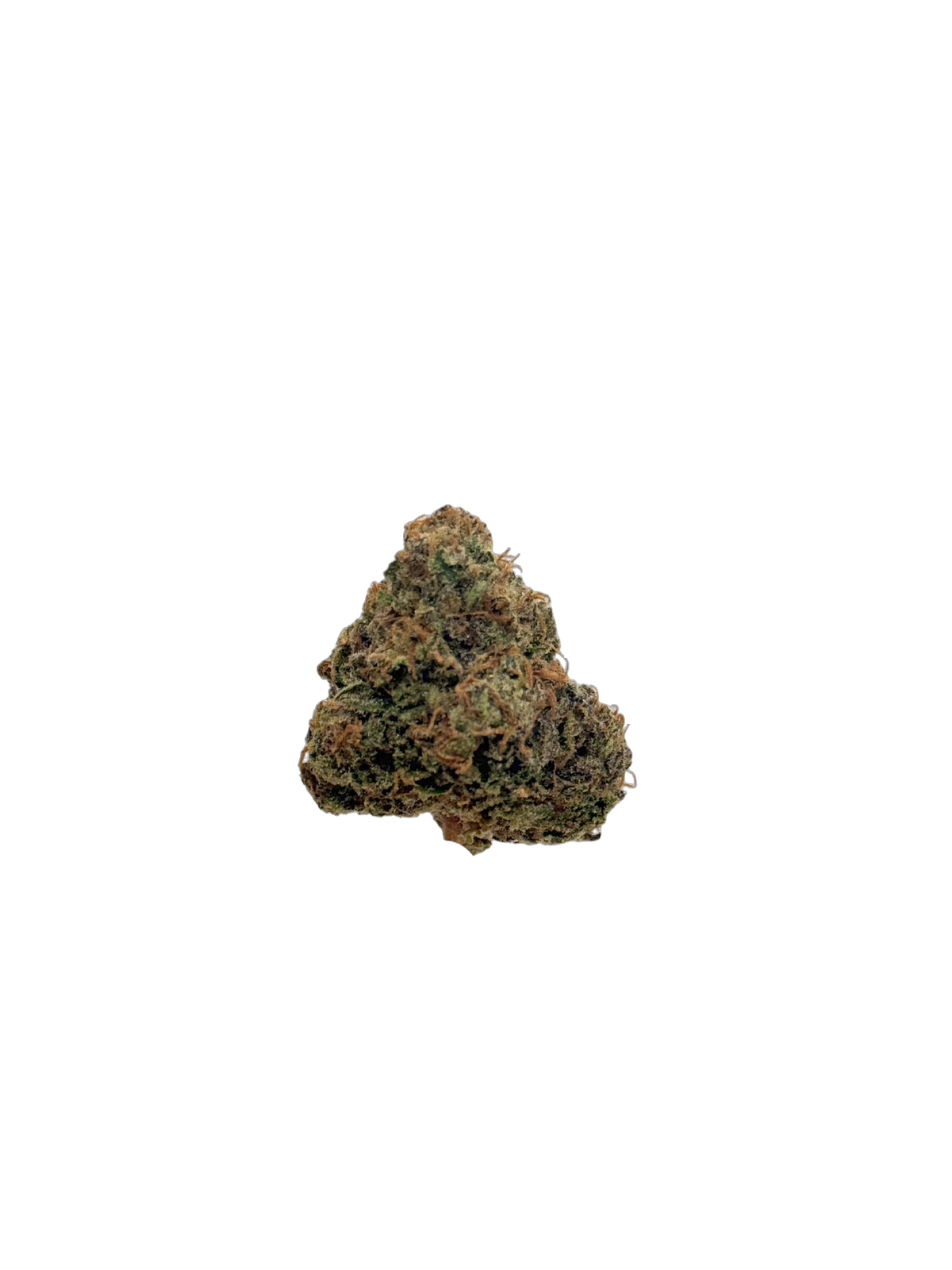 Zambie cannabis flower bud