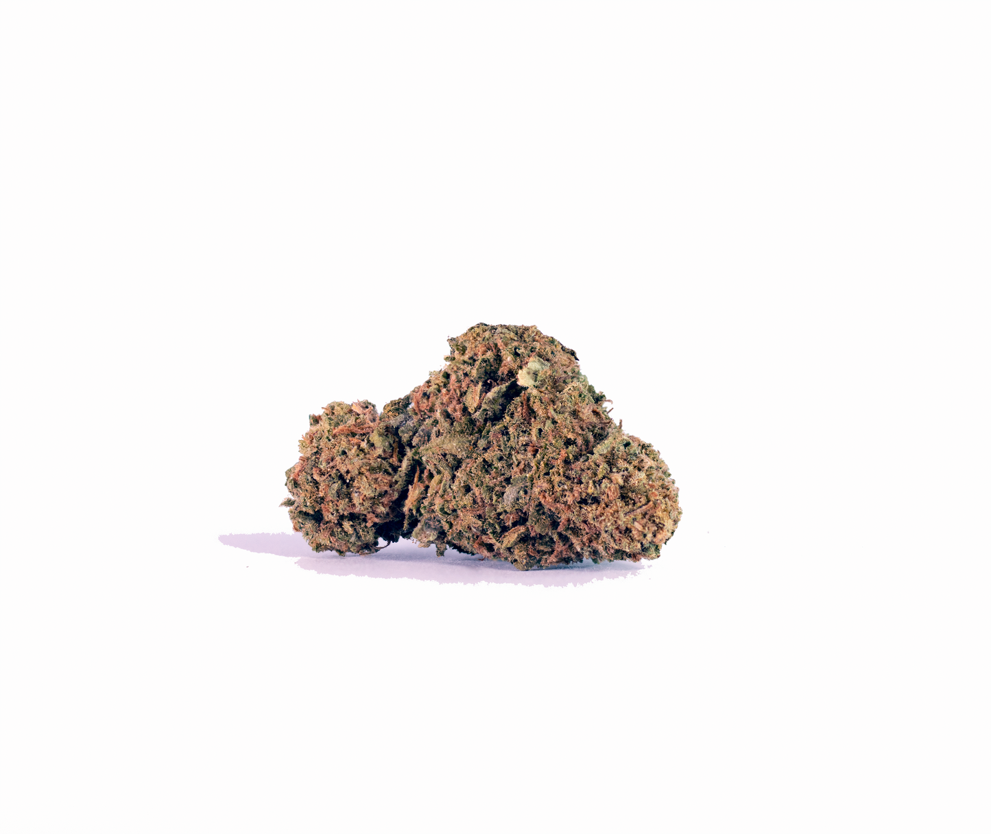 Cannibisters House Strain cannabis cannabis strain — buy online Cape Town | Cannibisters