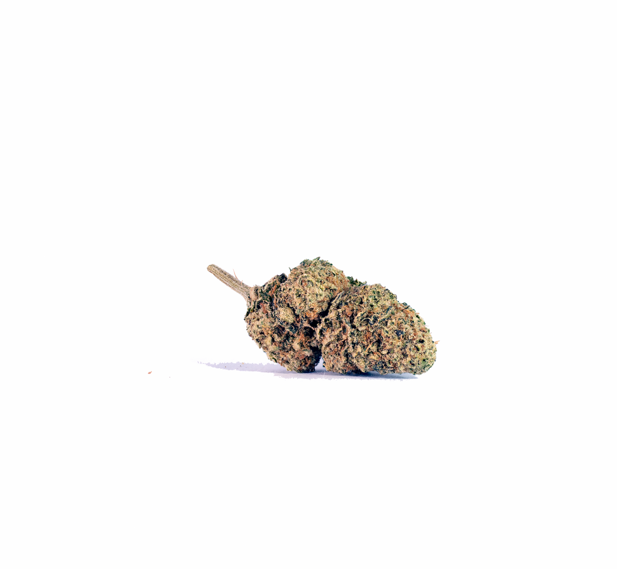 Cookies sativa cannabis strain — buy online Cape Town | Cannibisters