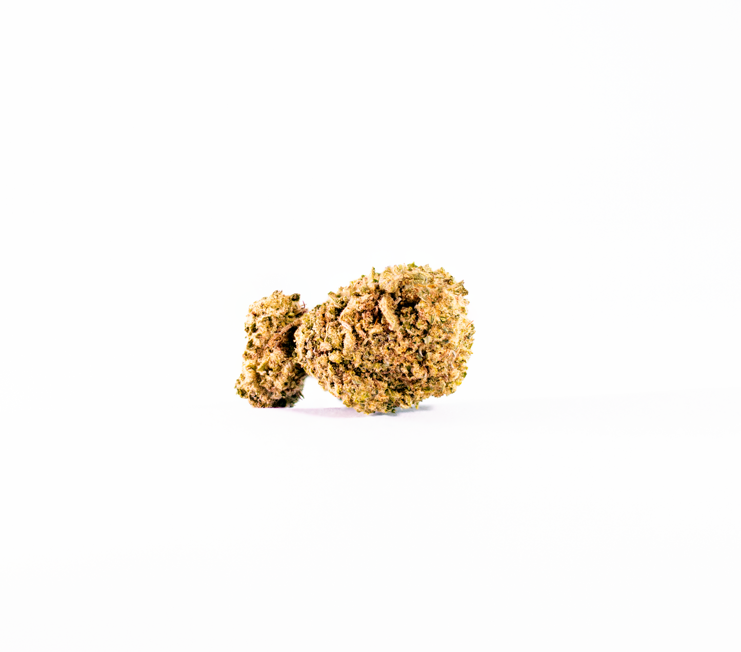 Northern Lights Indica