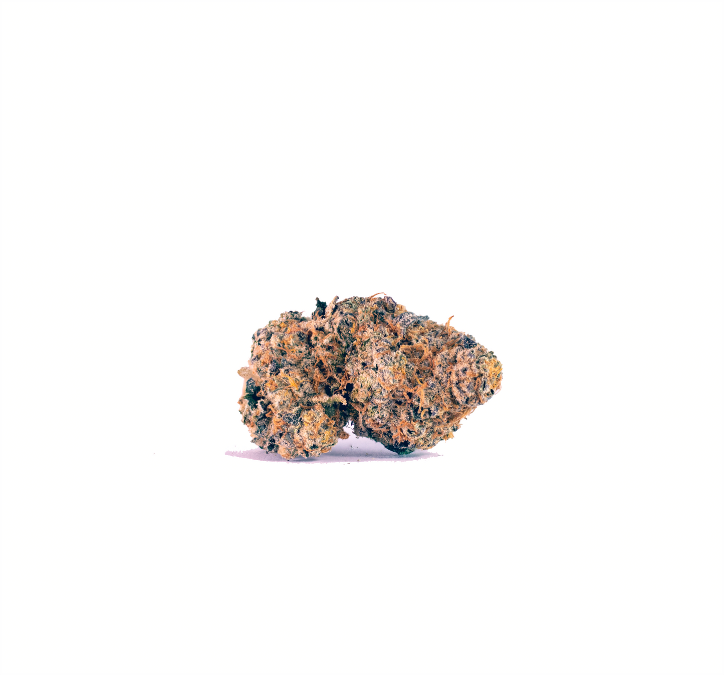 Sugar Cane hybrid cannabis strain — buy online Cape Town | Cannibisters
