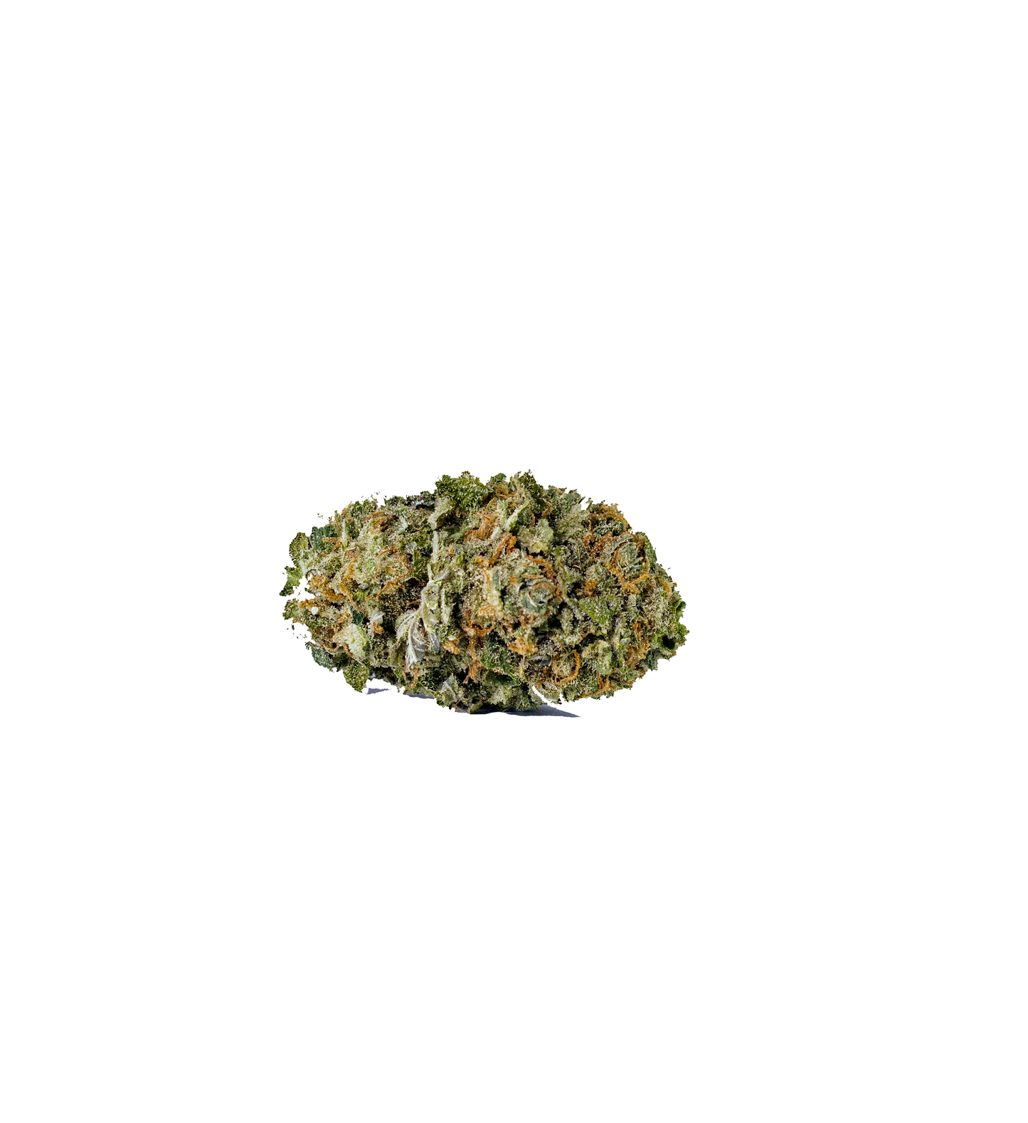 UK Super Cheese cannabis cannabis strain — buy online Cape Town | Cannibisters