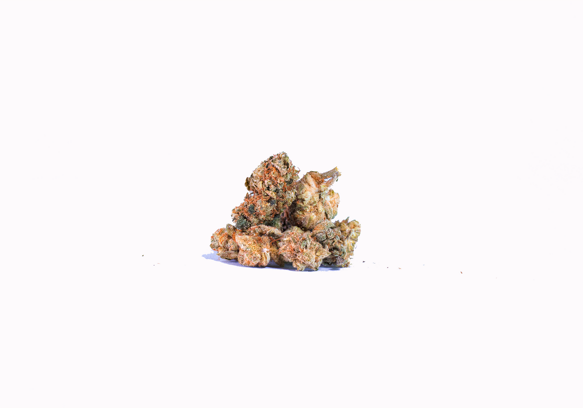 Tropical Punch