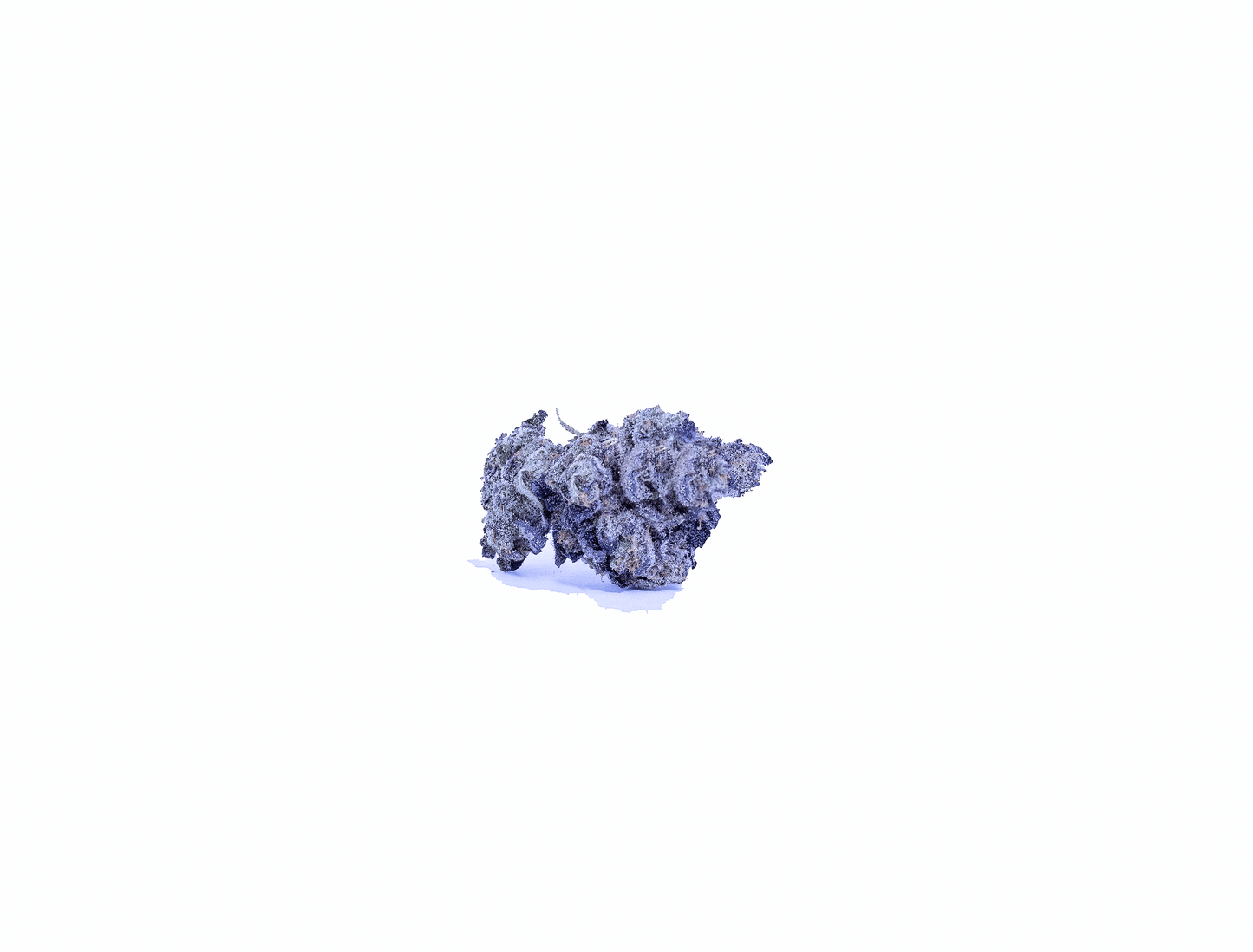 Watermelon / Gelato cannabis cannabis strain — buy online Cape Town | Cannibisters