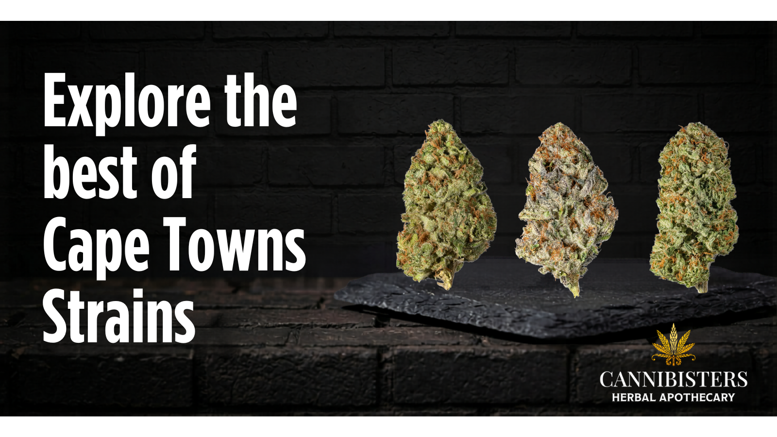 Cannabis Strains Cape Town | Cannibisters Strain Guide 2026