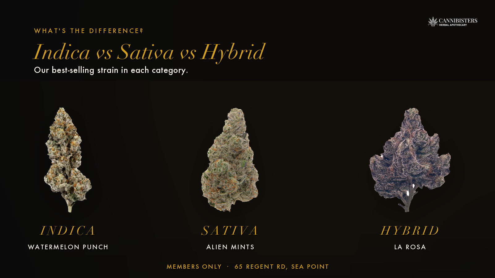Indica vs Sativa vs Hybrid — Cannibisters best sellers: Watermelon Punch, Alien Mints, LA Rosa