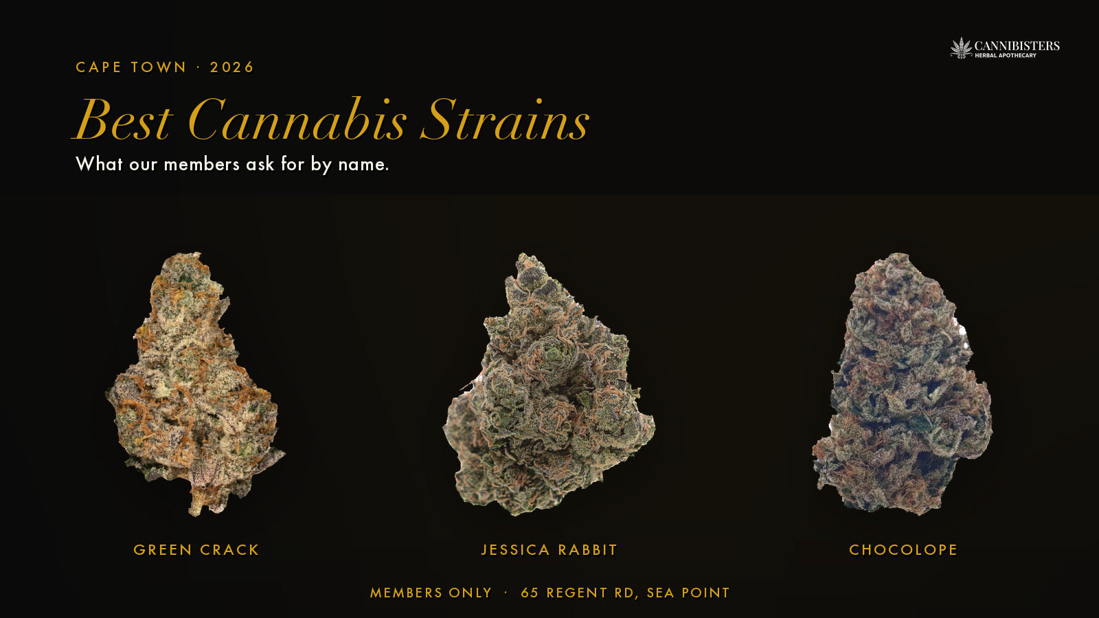 Best Cannabis Strains Cape Town — Green Crack, Jessica Rabbit, Chocolope