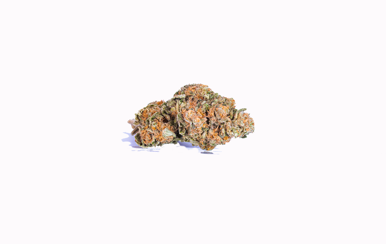Premium Bud