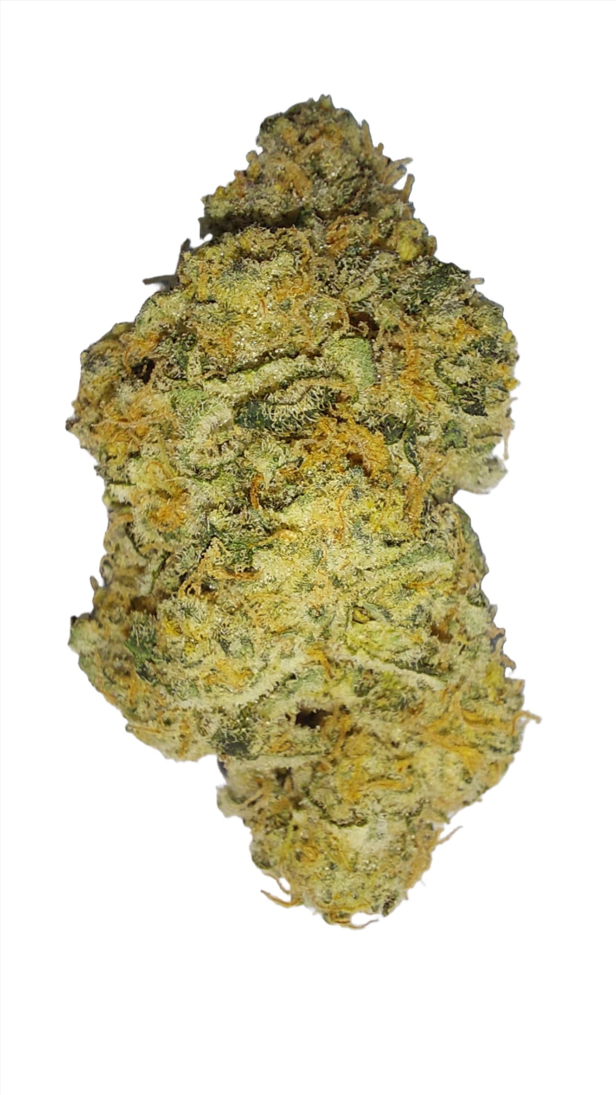 Sweet Lemonade hybrid cannabis strain — buy online Cape Town | Cannibisters