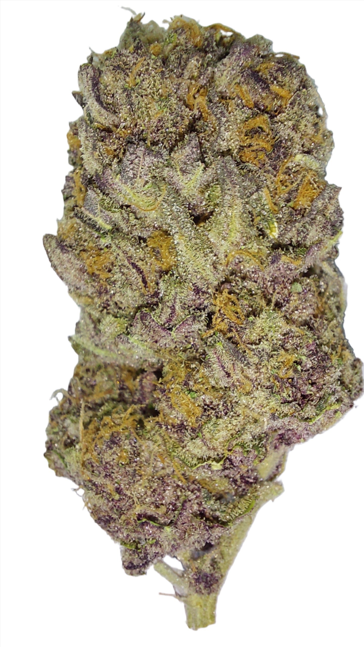 Purple Punch