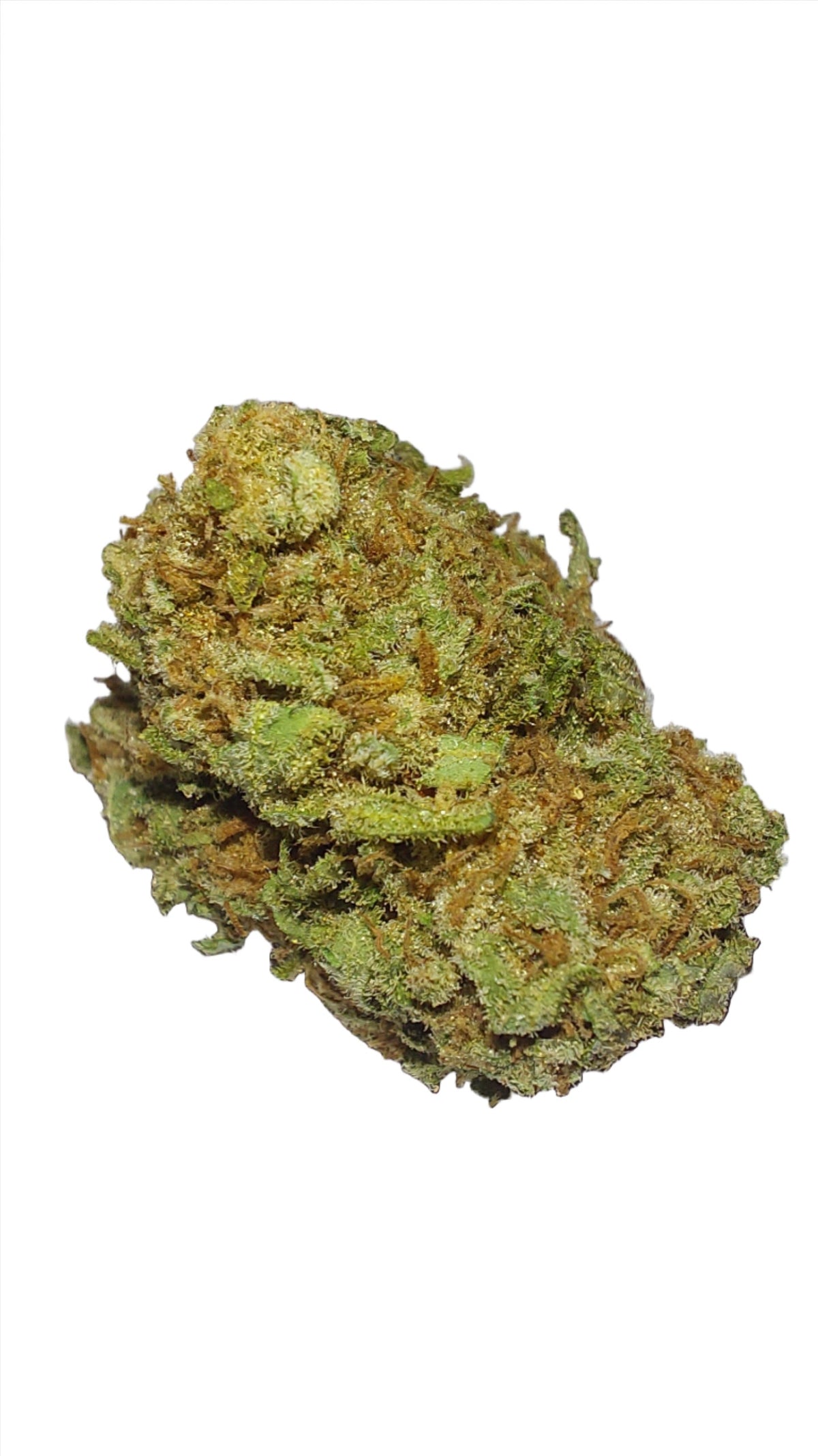 Zurple Punch Living Soil hybrid cannabis strain — buy online Cape Town | Cannibisters