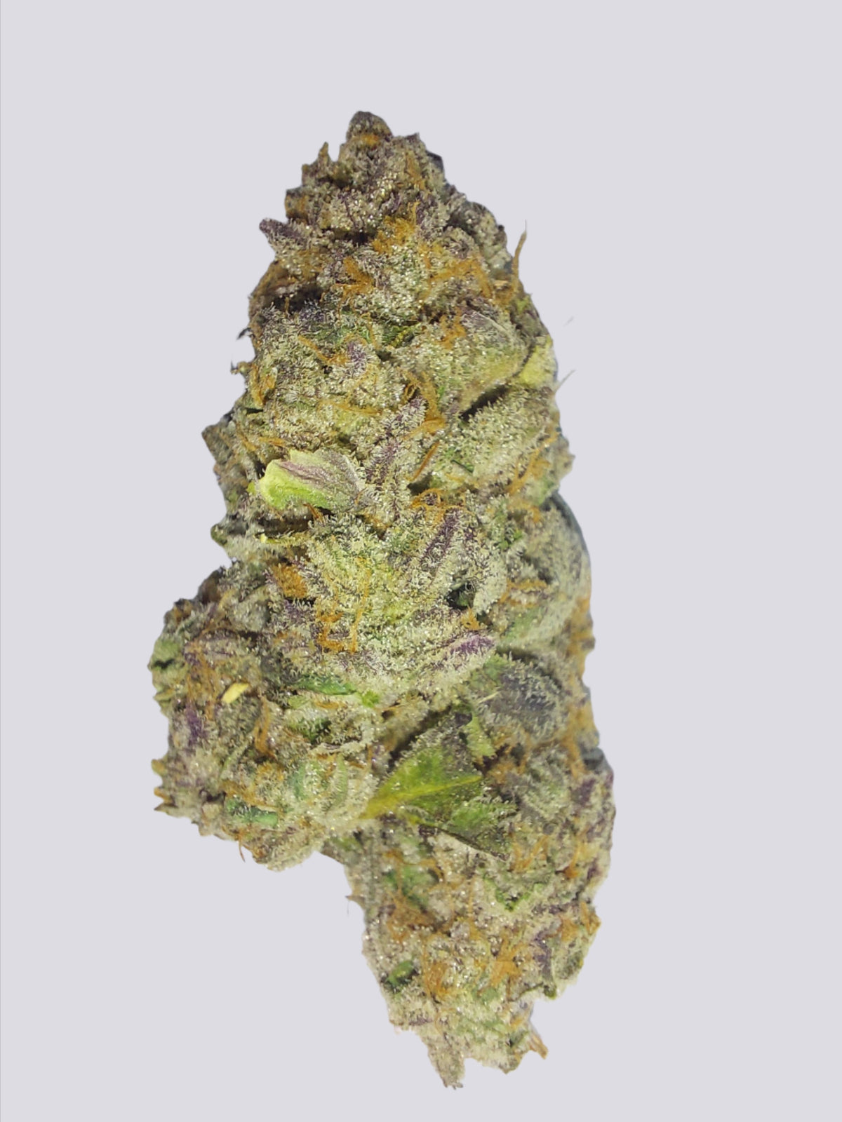 Dosi Do indica cannabis strain — buy online Cape Town | Cannibisters