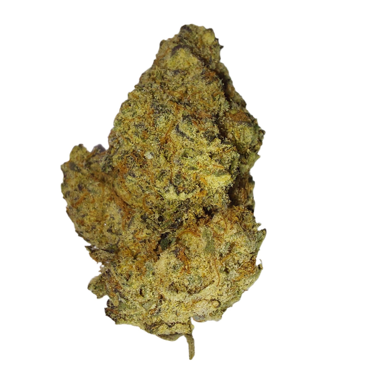 Cotton Candy cannabis cannabis strain — buy online Cape Town | Cannibisters