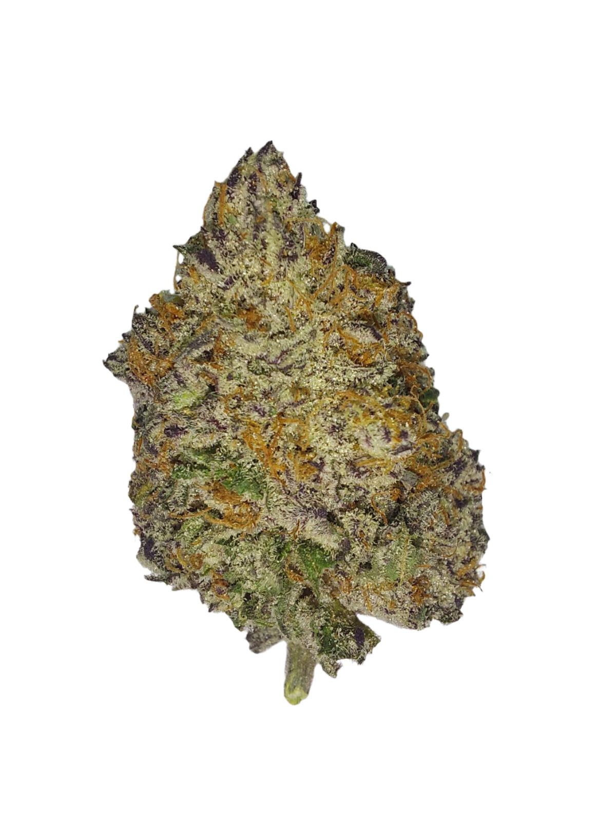 Sunset Sherbet cannabis cannabis strain — buy online Cape Town | Cannibisters