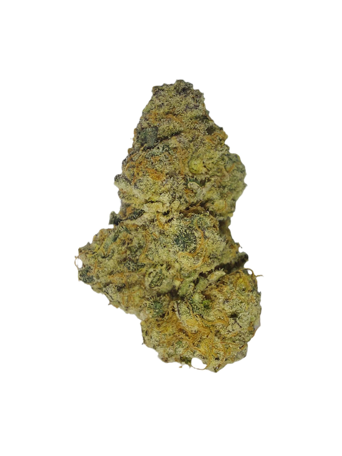 Sweet Lemonade hybrid cannabis | Cannibisters Cape Town