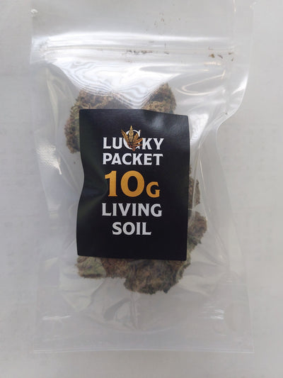 Lucky Packet (Living Soil) 10g