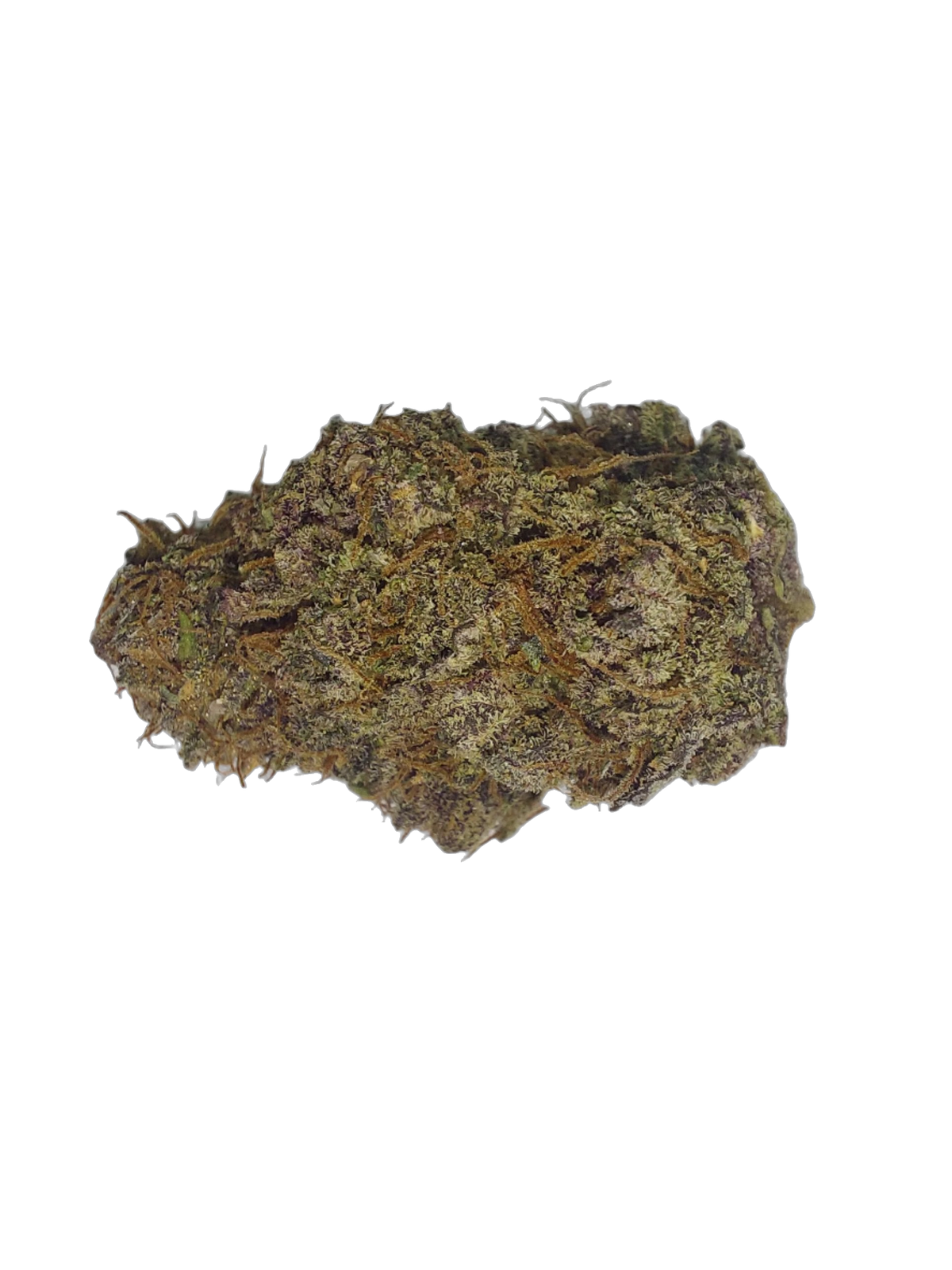 24k Gold cannabis flower bud