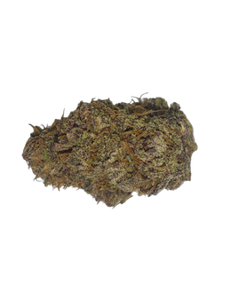 24k Gold cannabis flower bud