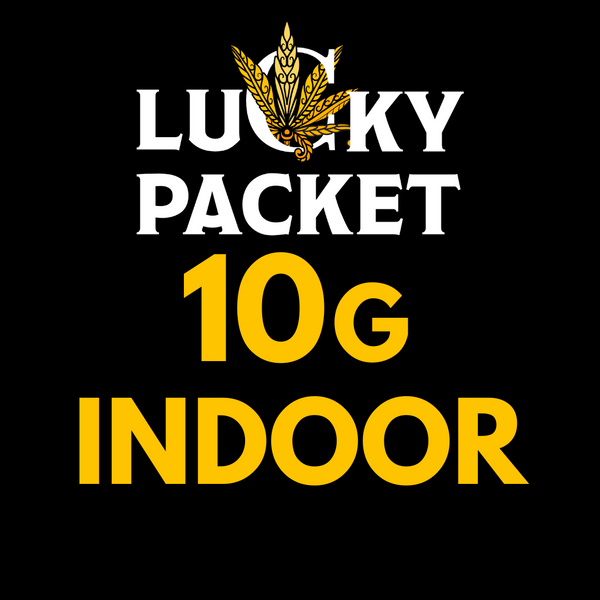 Indoor Lucky Packet 10g cannabis cannabis strain — buy online Cape Town | Cannibisters
