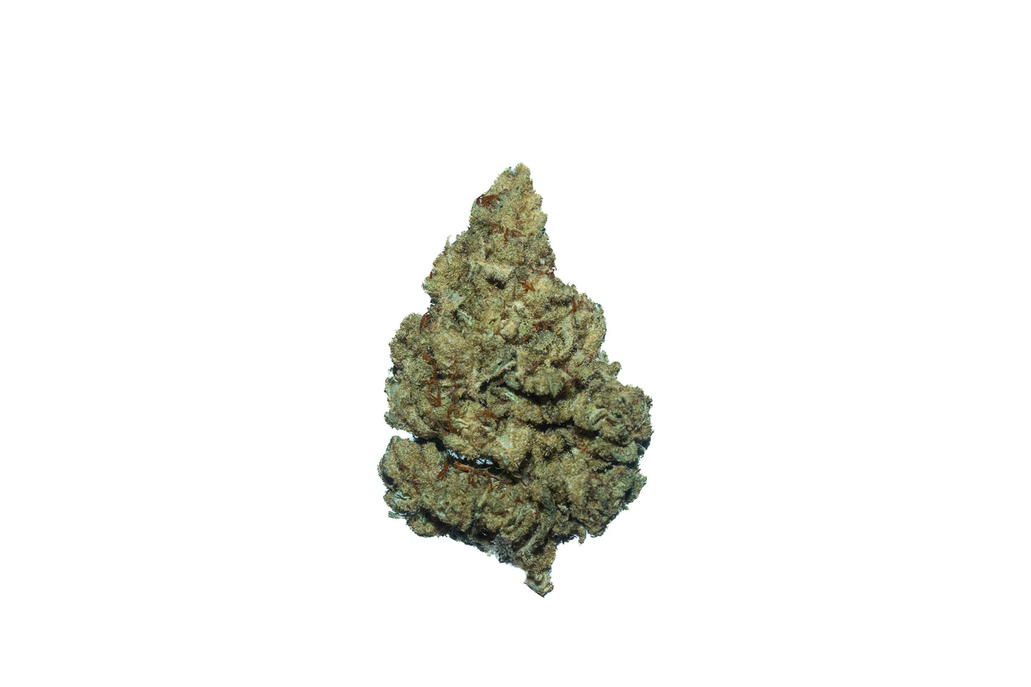 Alaskan Purple (Organic Living Soil) cannabis cannabis strain — buy online Cape Town | Cannibisters