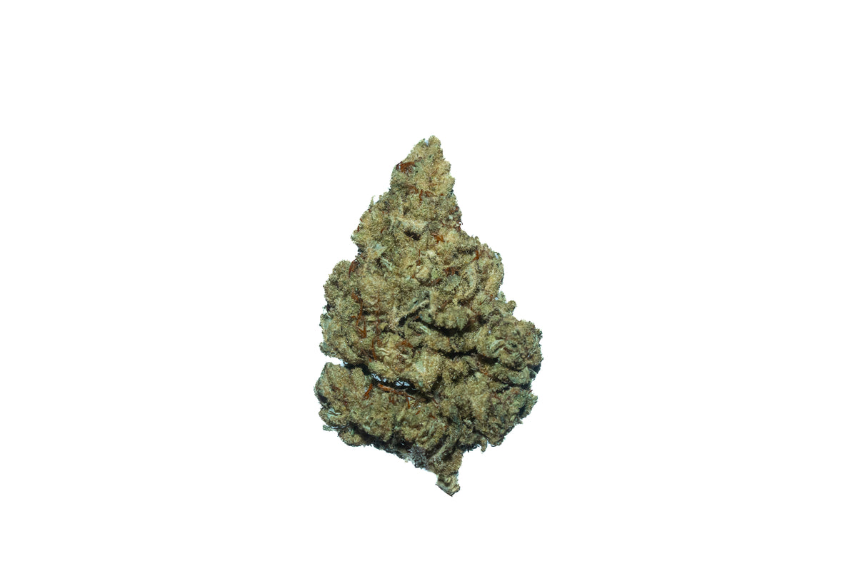 Alaskan Purple (Organic Living Soil) cannabis cannabis strain — buy online Cape Town | Cannibisters