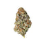 Astro Grape - Cannibisters Limited Collection indica cannabis strain — buy online Cape Town | Cannibisters
