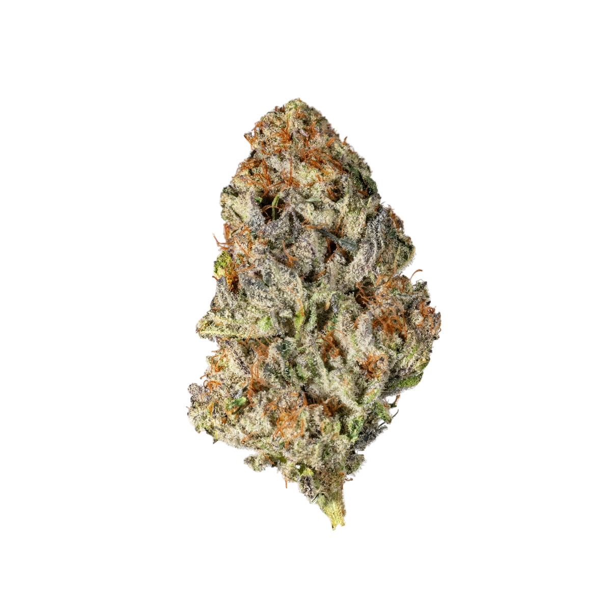 Astro Grape - Cannibisters Limited Collection indica cannabis strain — buy online Cape Town | Cannibisters