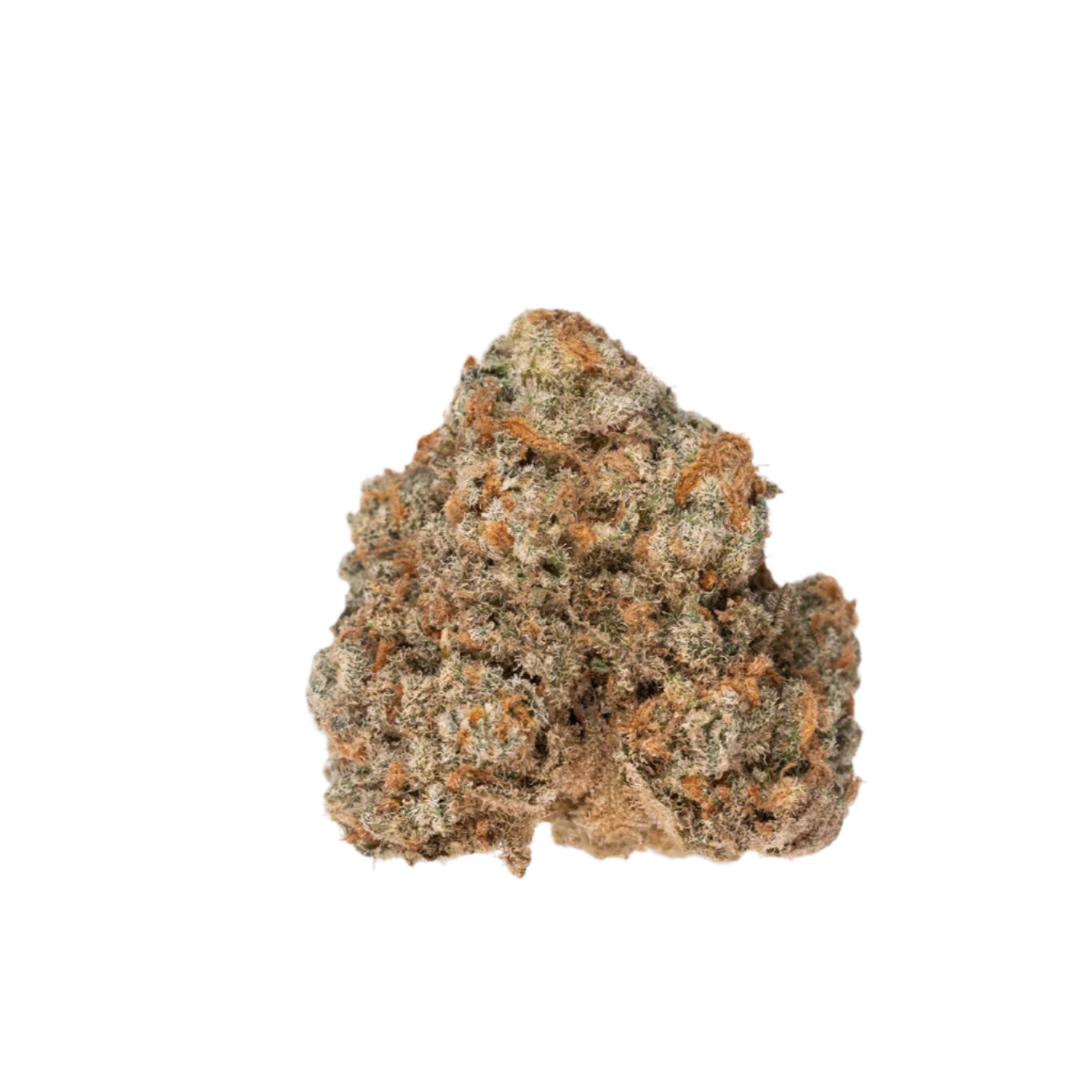 Al Capone hybrid cannabis strain — buy online Cape Town | Cannibisters