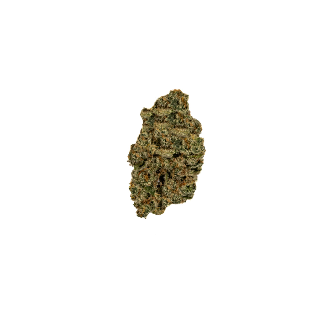 Atomic Jelly sativa cannabis strain — buy online Cape Town | Cannibisters
