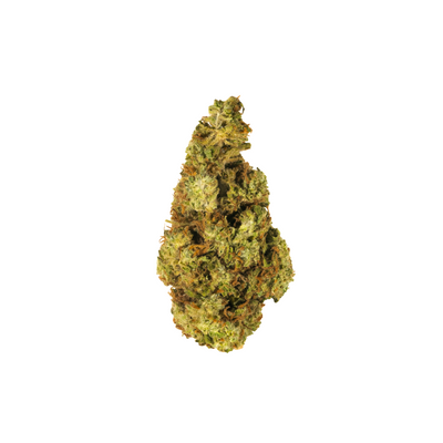 Greendoor Banger Glue