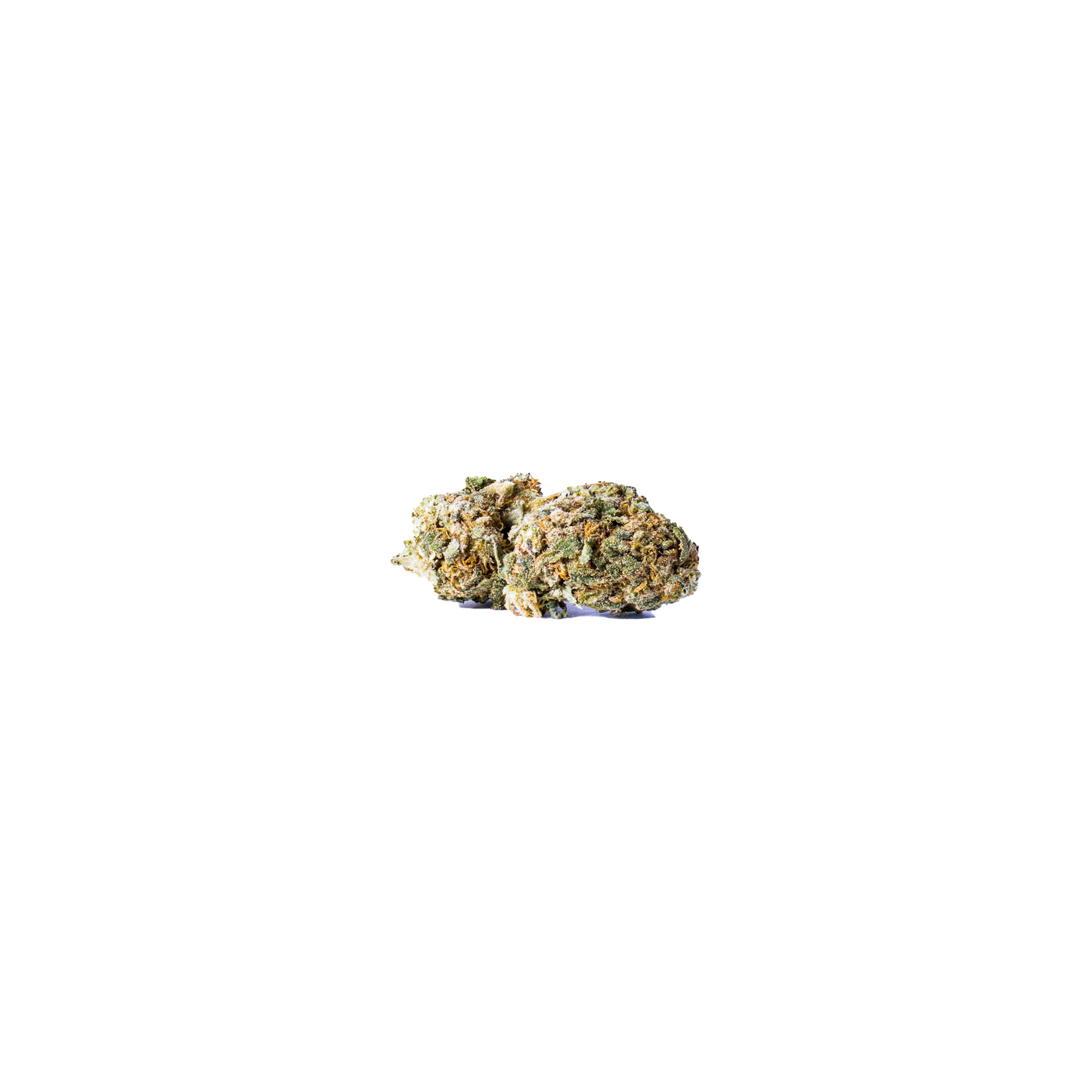 Black Sirius (Living Soil) cannabis cannabis strain — buy online Cape Town | Cannibisters