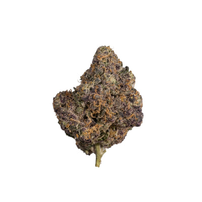 Blueberry Gary