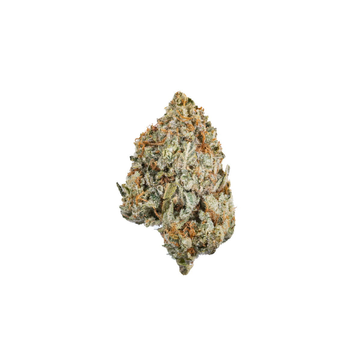 Bonkers hybrid cannabis strain — buy online Cape Town | Cannibisters