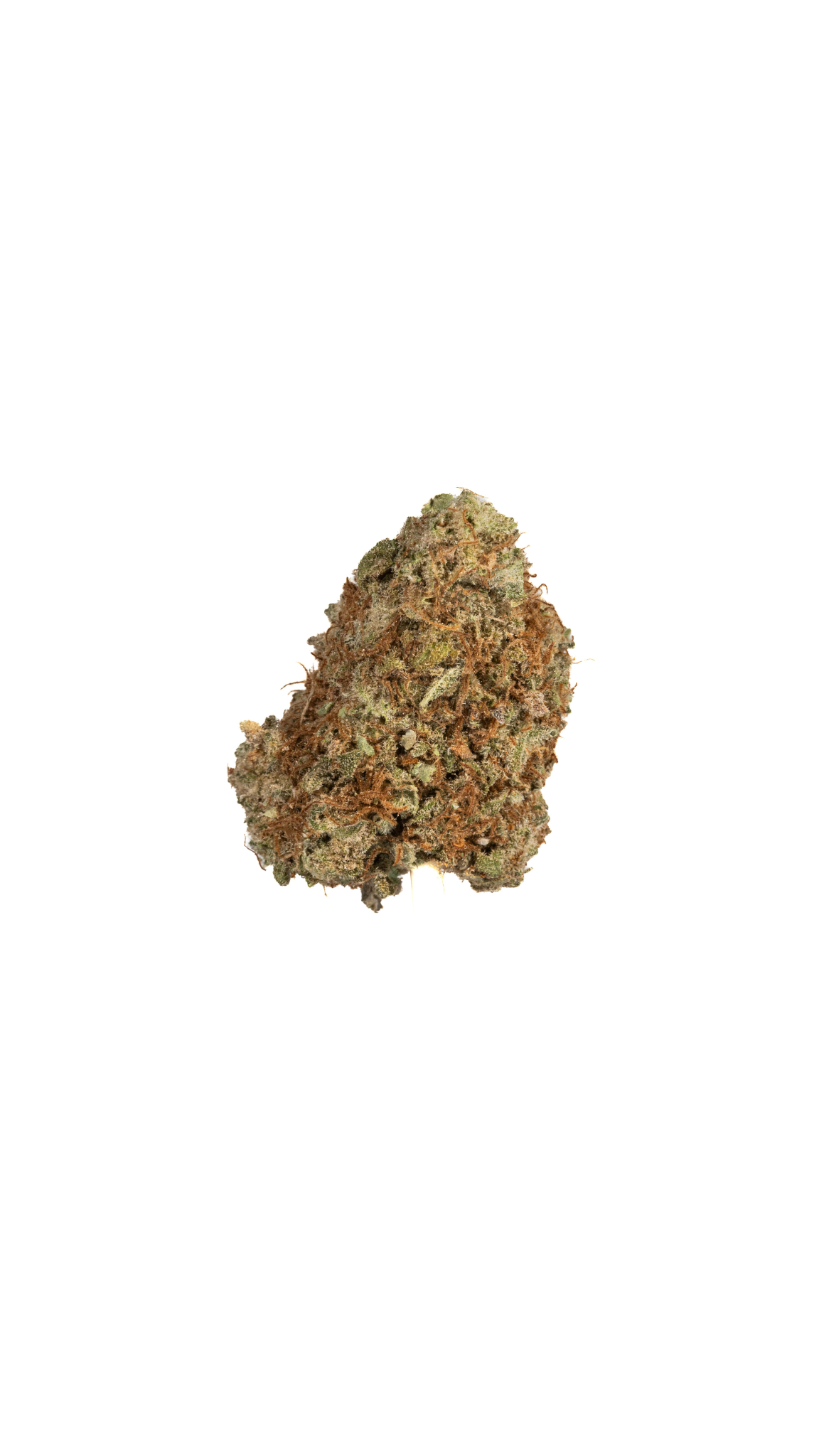 Bruce Banner sativa cannabis strain — buy online Cape Town | Cannibisters
