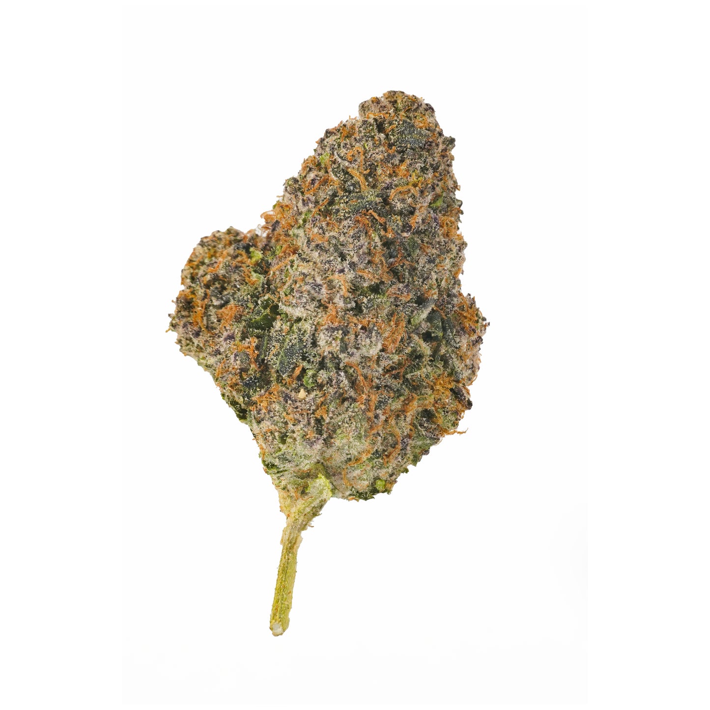 Bubble Velvet