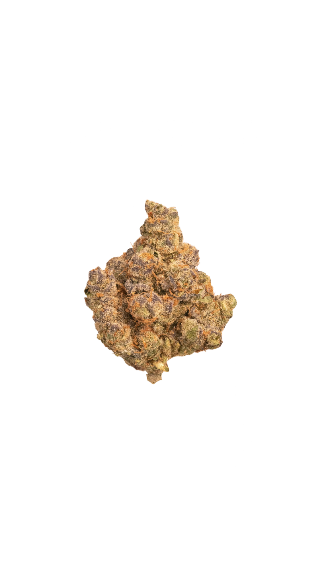 Butter Milk Biscuit cannabis cannabis strain — buy online Cape Town | Cannibisters