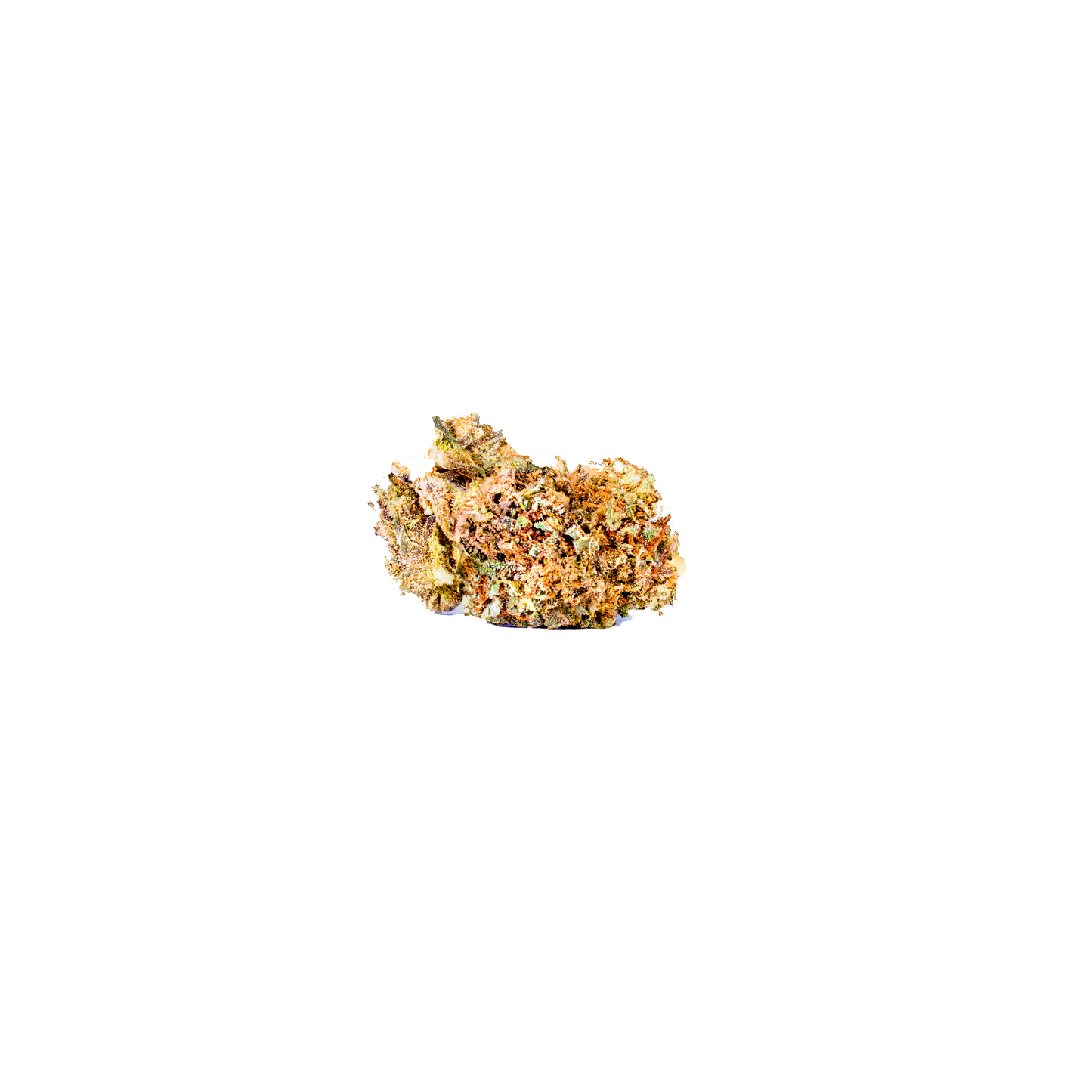 Cannibisters Special Blueberry Muffin indica cannabis strain — buy online Cape Town | Cannibisters
