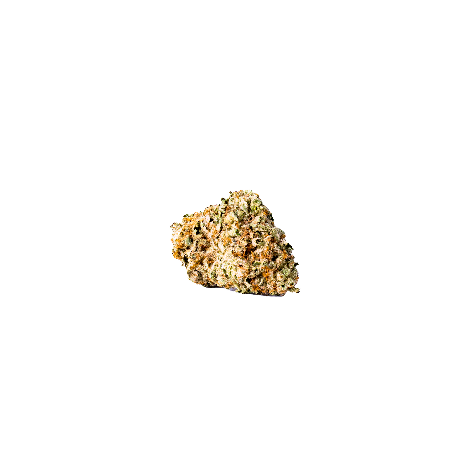 Cannibisters Special (Living Soil) cannabis cannabis strain — buy online Cape Town | Cannibisters