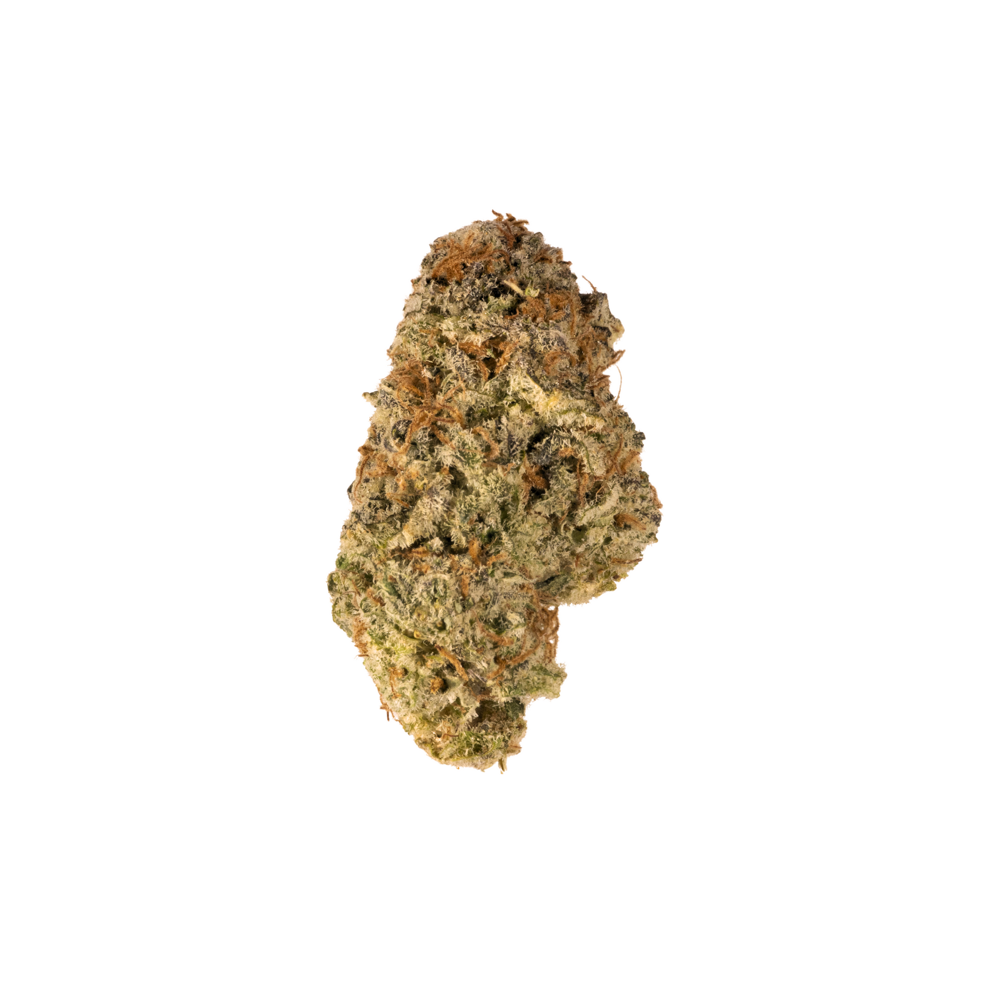 Caribbean Punch sativa cannabis strain — buy online Cape Town | Cannibisters