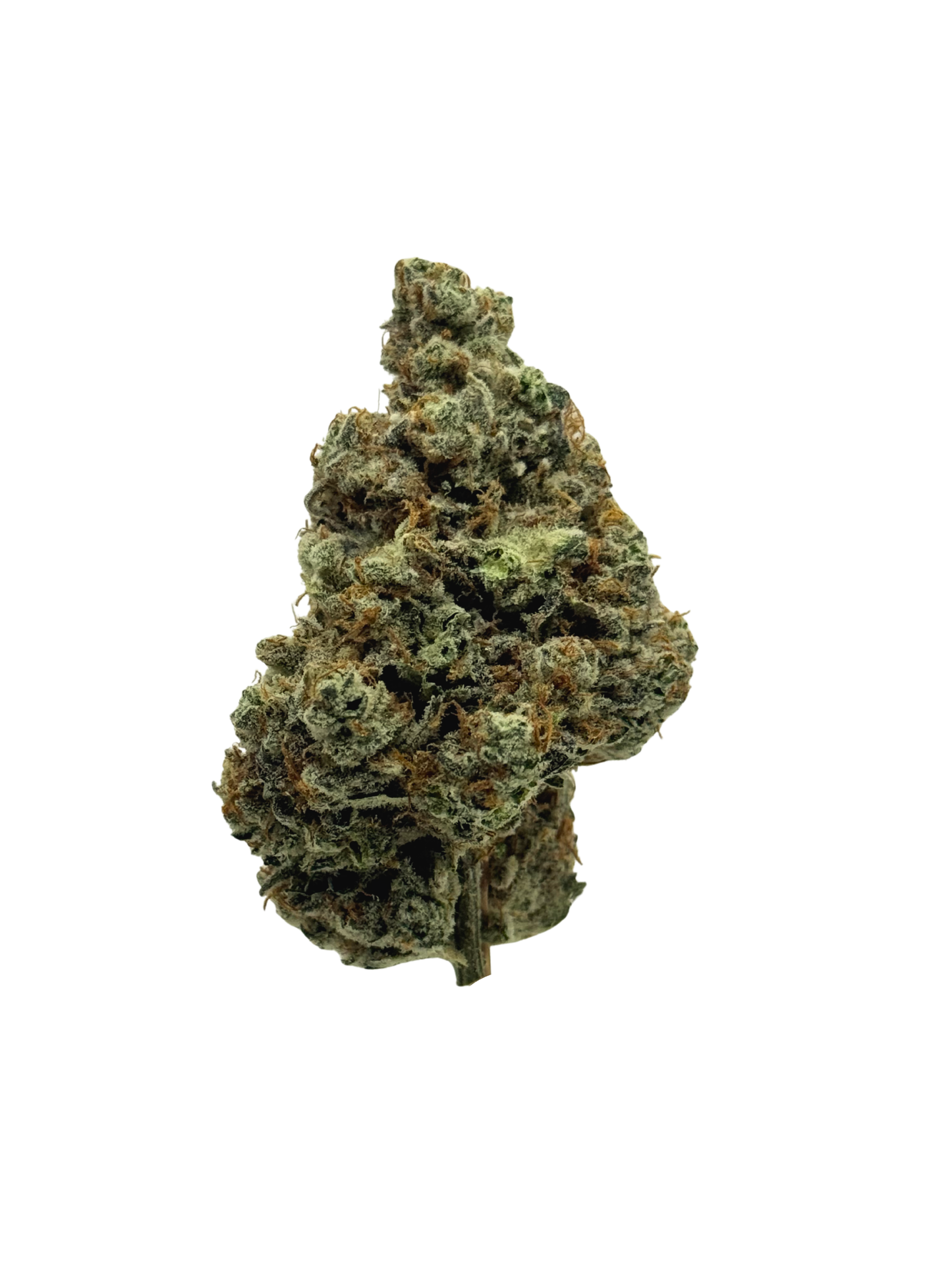 Cherry Dawg